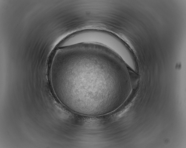 X0000090630830200707311303