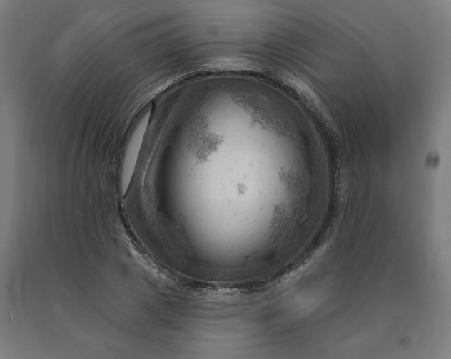 X0000090630833200707311303