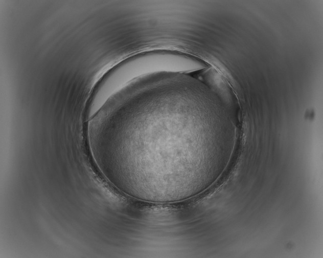 X0000090630834200707311303