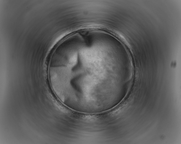 X0000090630835200707311303