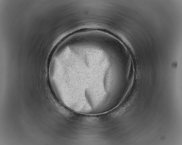 X0000090630837200707311303