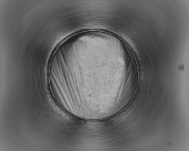 X0000090630840200707311303