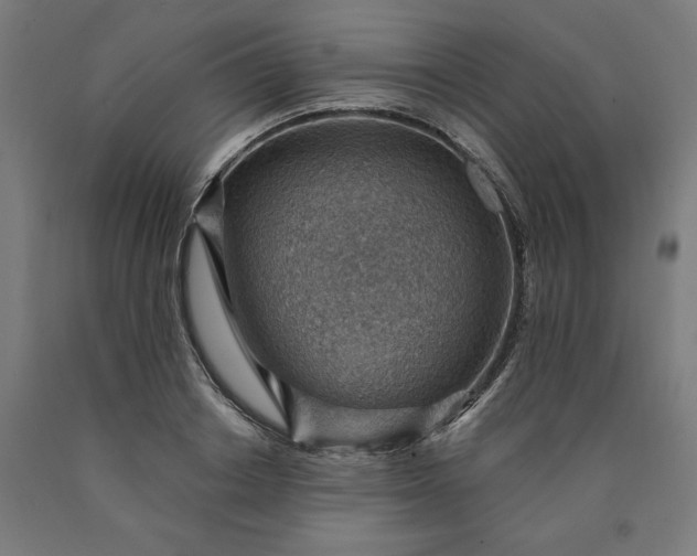 X0000090630842200707311303