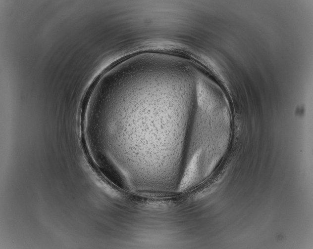 X0000090630843200707311303