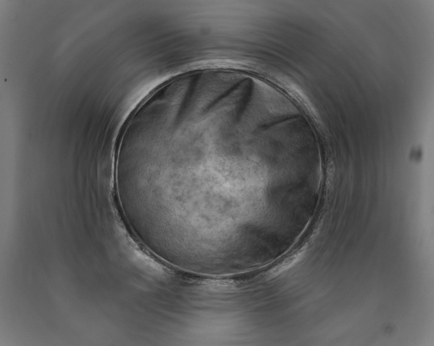 X0000090630844200707311303