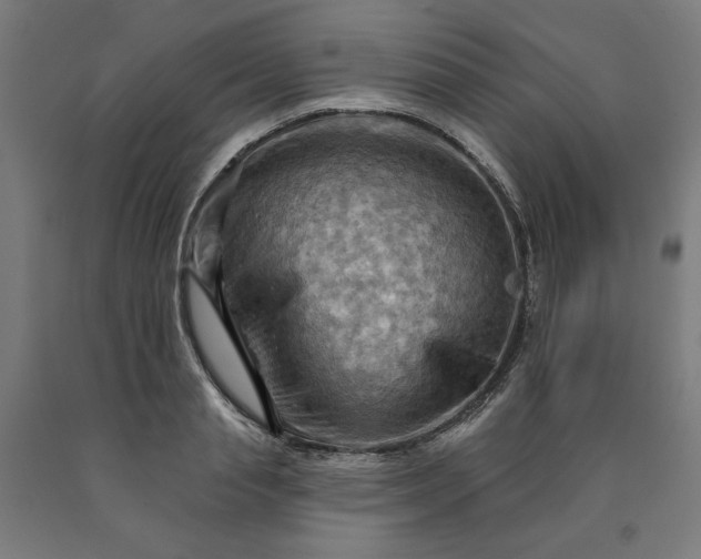 X0000090630845200707311303