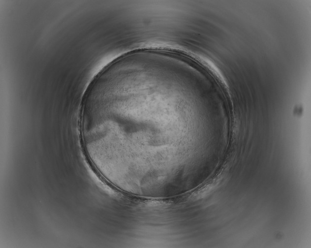 X0000090630847200707311303