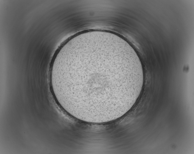 X0000090630848200707311303