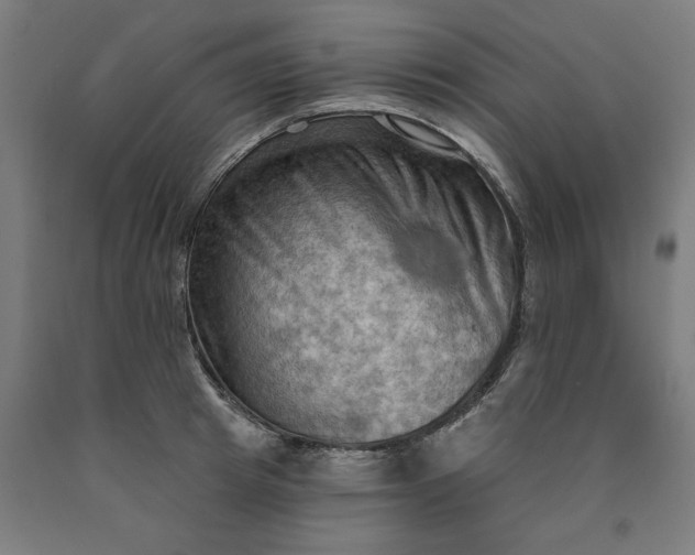 X0000090630849200707311303