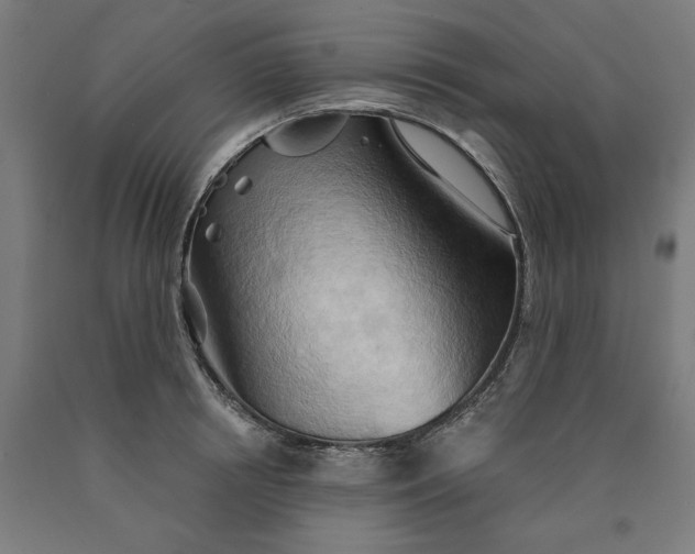 X0000090630850200707311303