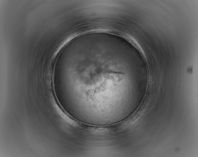 X0000090630851200707311303