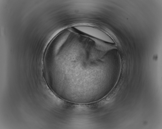 X0000090630852200707311303