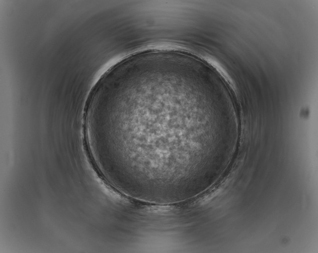 X0000090630853200707311304