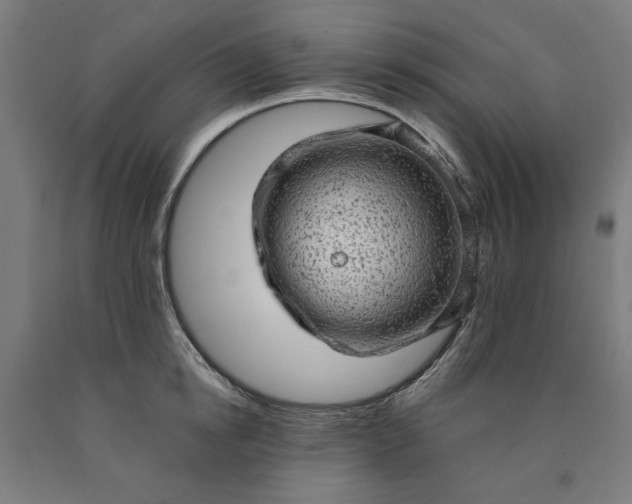 X0000090630854200707311304