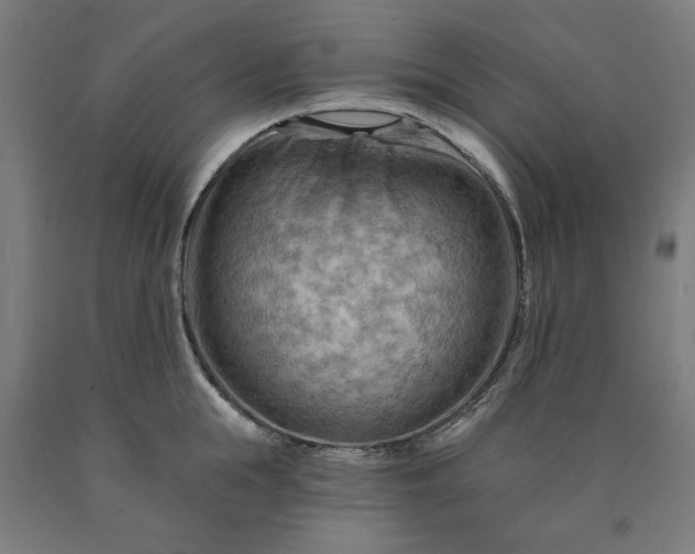 X0000090630855200707311304