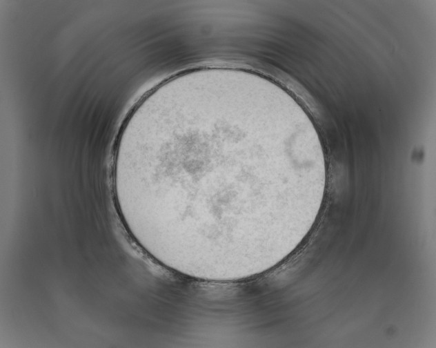 X0000090630856200707311304