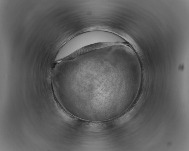X0000090630857200707311304