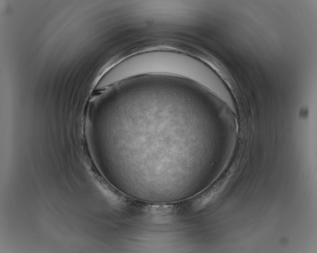 X0000090630858200707311304