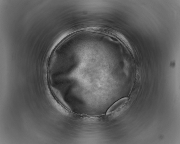 X0000090630859200707311304