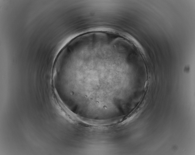 X0000090630860200707311304