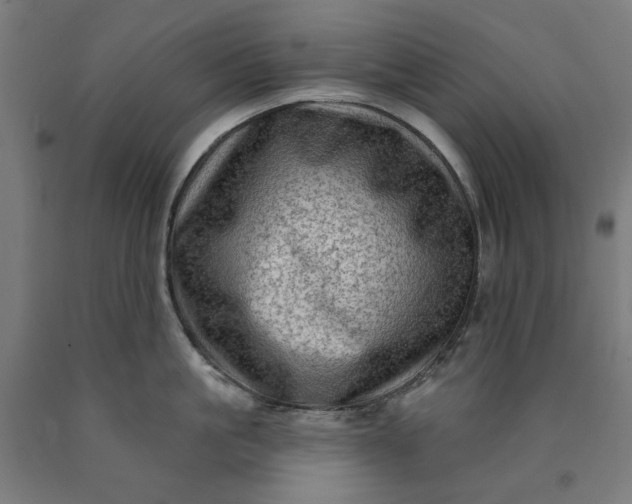 X0000090630861200707311304
