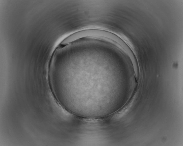 X0000090630862200707311304