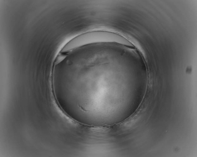 X0000090630863200707311304