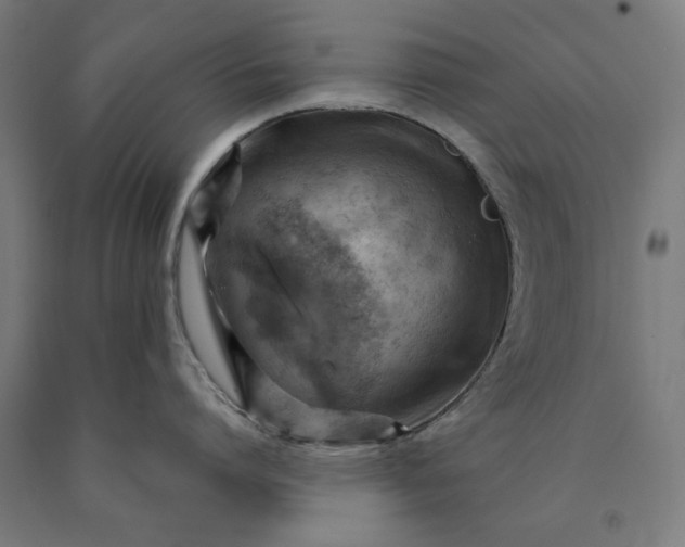 X0000090630864200707311304