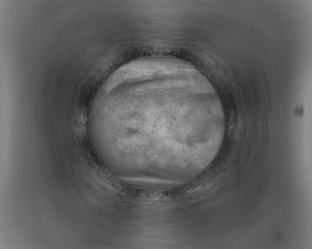 X0000090630866200707311303