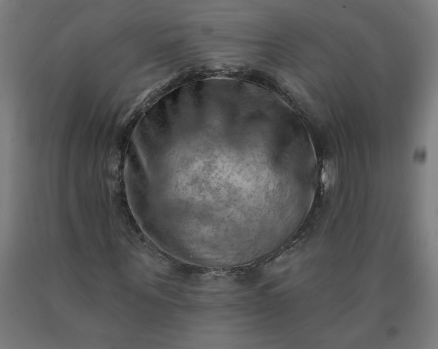 X0000090630867200707311303