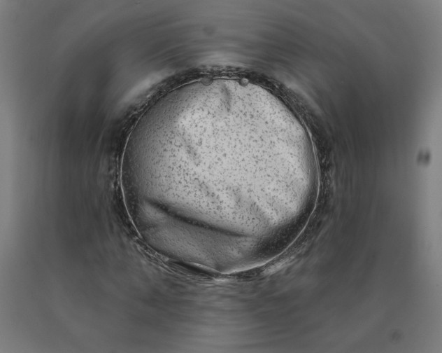 X0000090630870200707311303