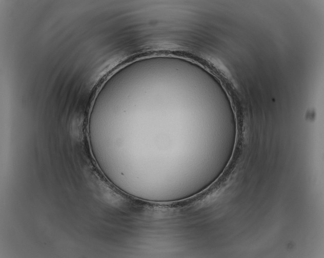 X0000090630873200707311303