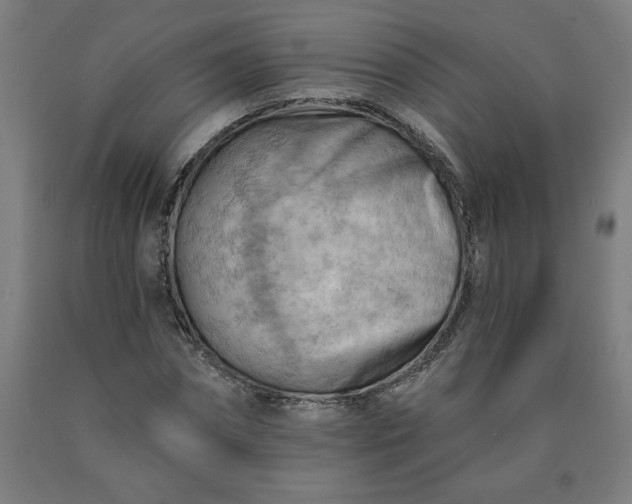 X0000090630874200707311303