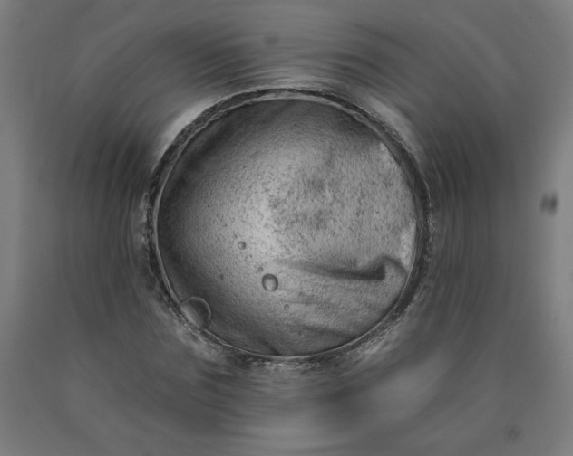X0000090630875200707311303