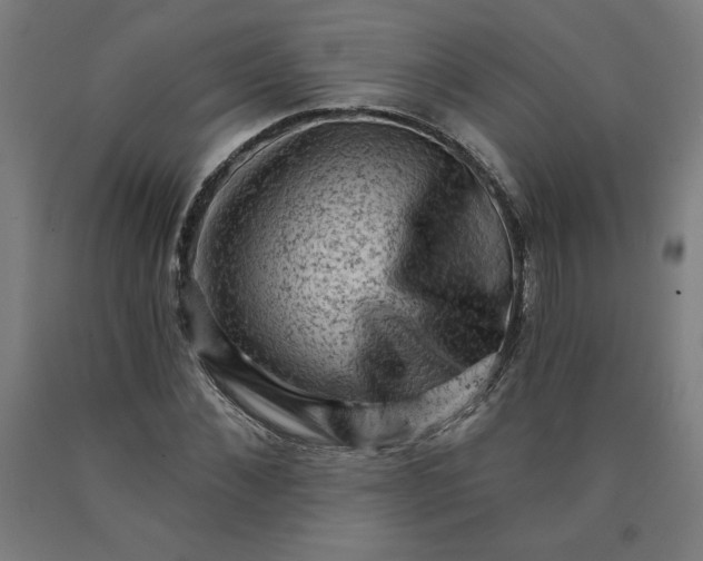 X0000090630876200707311303