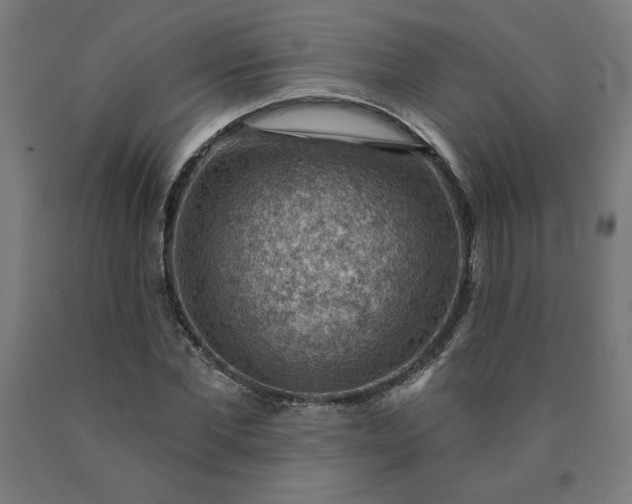 X0000090630877200707311303