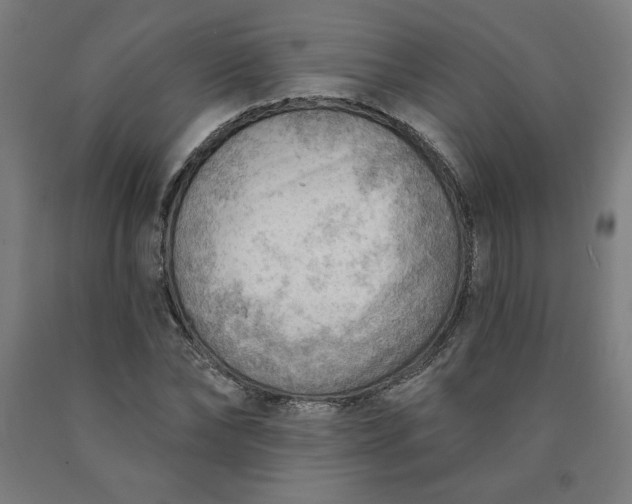 X0000090630878200707311303