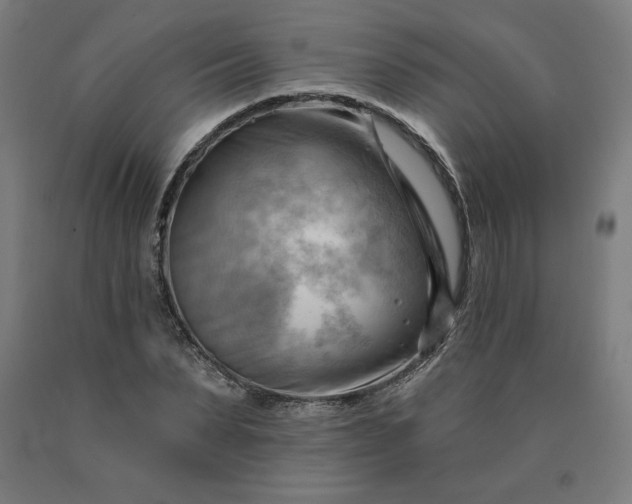 X0000090630879200707311303