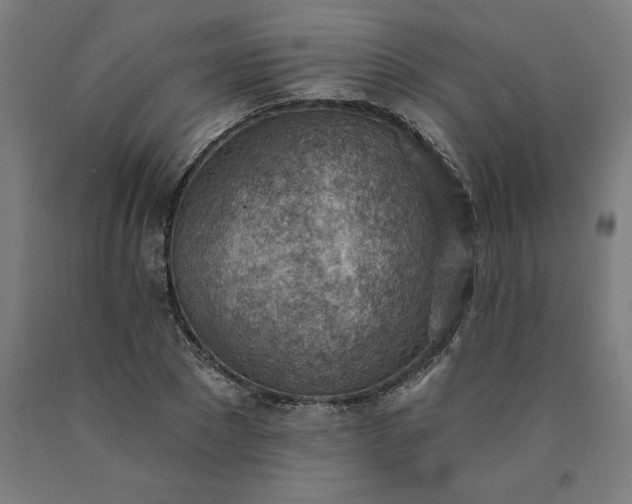 X0000090630881200707311303