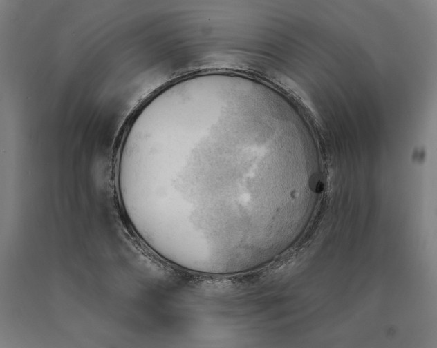X0000090630882200707311303