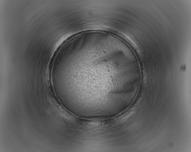 X0000090630883200707311303