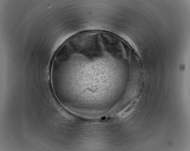 X0000090630885200707311303