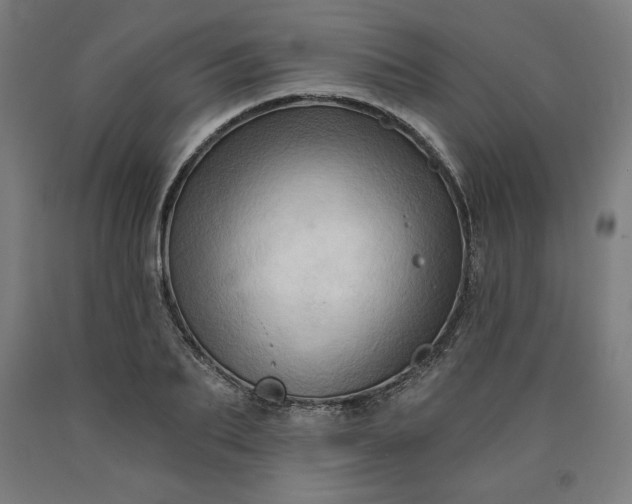 X0000090630887200707311303