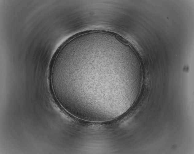 X0000090630888200707311303
