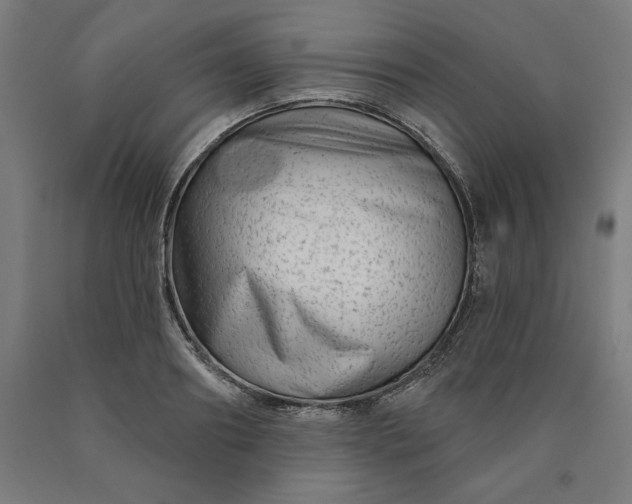 X0000090630890200707311303