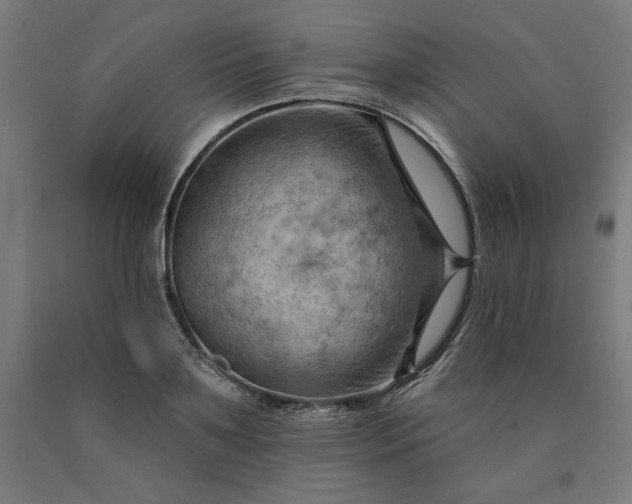 X0000090630891200707311303