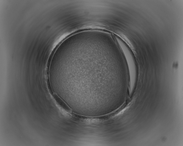 X0000090630893200707311303