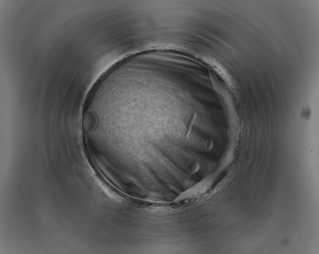 X0000090630894200707311303