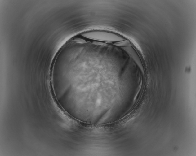 X0000090630895200707311303