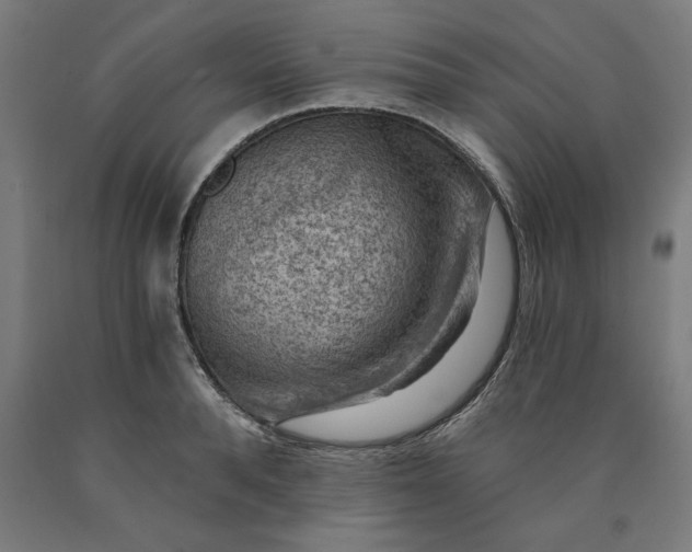 X0000090630896200707311303